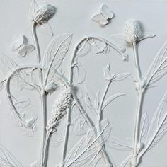 some white flowers and butterflies on a white surface