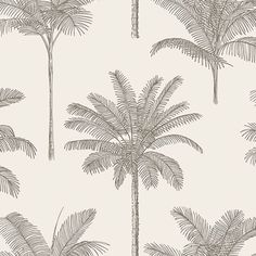 sample taj beige palm trees wallpaper from design department by brewster 1 Cool White Backgrounds, Palm Trees Wallpaper, Trees Wallpaper, Wallpaper For Sale, Drops Patterns, Tropical Wallpaper, Design Department, Tree Wallpaper, Paper Wallpaper