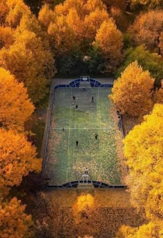 an aerial view of a soccer field surrounded by trees with yellow leaves on the ground