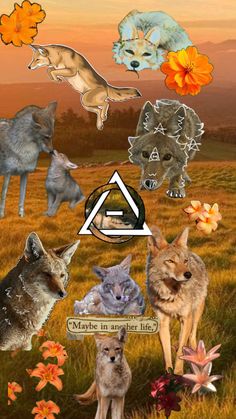 an animal collage with many different animals in the background and flowers on the ground