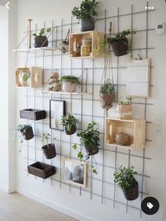 there are many plants on the wall in this room, and it is nice to see