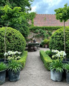 an outdoor garden with potted plants in the middle and a table on the other side