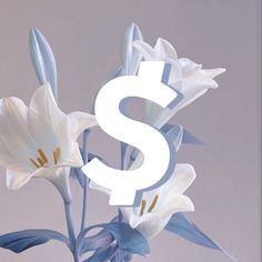 a vase filled with white and blue flowers on top of a wooden table next to a dollar sign