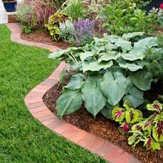 a garden filled with lots of different types of flowers and plants next to a brick walkway