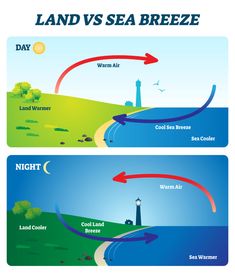 the different types of waves in the ocean