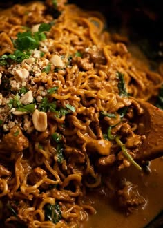 noodles with meat and greens in a brown sauce