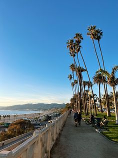 two people walking down a path next to palm trees and the ocean in the background