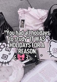 a pile of hello kitty bags with the caption you had all holidays to study it was holidays for a reason