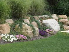 a rock garden with flowers and grass in the background