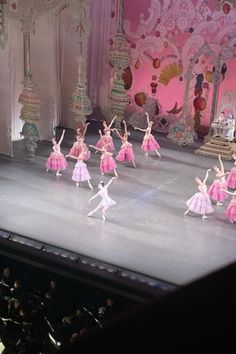 a group of ballerinas are performing on stage