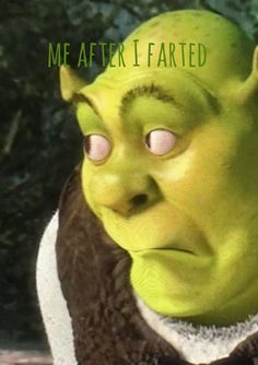 an image of a green man with the words me after i farted