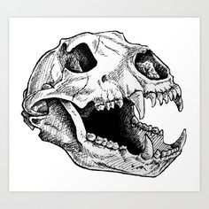 a black and white drawing of a t - rex skull with its mouth open art print