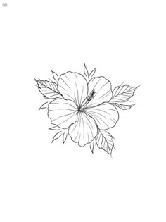 a black and white drawing of a flower