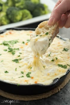 a spoon full of cheese being lifted from a casserole dish