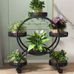 Practical Plant Cart:The flower stand is made of top-grade metal iron construction with fine workmanship. Which is durable and sturdy, avoid bending and fading. Thicker frame structure for good support and stability. Strong welding and spray painting ensures reliable use.With waterproof black paint coating.This plant stand featured with rolling wheels with brake, convenient to move around and stay stable.Each tray hold up to 8kg.Tray with space great for drainage and ventilation.Our plant cart s Multi Tier Plant Stand, Plant Stand Metal, Tier Plant Stand, Indoor Plant Shelves, Corner Plant, Eco Friendly Paint, Wood Plant Stand, Metal Plant Stand, Flower Pot Holder