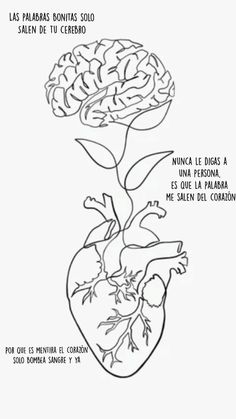 a diagram of the human heart and its functions