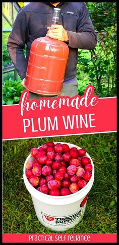 a bucket full of plums with the words homemade plum wine