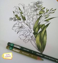 a drawing of some flowers and leaves on a sheet of paper next to a pencil