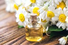 Chamomile Plant, Top Essential Oils, Remedies For Nausea, Low Stomach Acid, Mother Earth Living, Chamomile Oil, After Sun, Chamomile Flowers