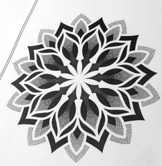 a black and white drawing of a flower on a sheet of paper with scissors in the background