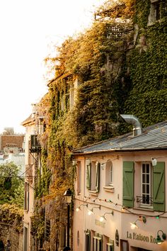 an alley way with buildings and vines growing on the side