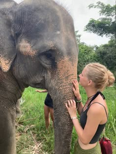 a woman touching the trunk of an elephant