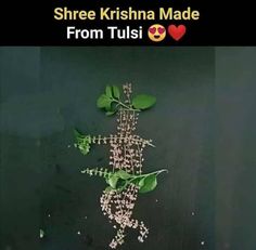 there is a lizard made out of flowers on the wall with text that reads, shreee krishna made from tuls