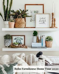 a living room filled with lots of furniture and plants on top of white shelving