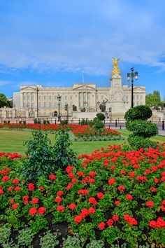 red flowers in front of a large building