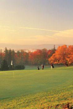 two people playing golf on a green field with trees in the background and orange leaves