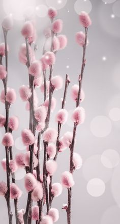 some pink flowers are in a vase on a white tablecloth with boket lights behind them