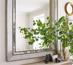 a mirror sitting on top of a mantle next to a potted plant