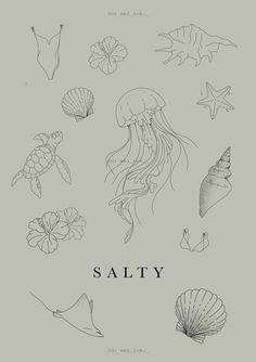 an image of various sea animals and shells on a gray background with the word salty written below it