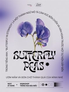 an advertisement for a flower shop with purple flowers