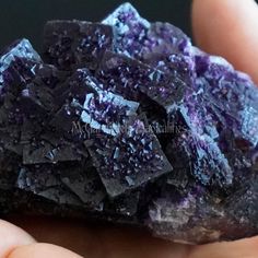 Listing: One 3 Generation Purple Fluorite from the Cave in Rock District, W.L. Davis-Deardorff Mine, Hardin County Illinois. Location: Cave in Rock District, W.L. Davis-Deardorff Mine, Hardin County, Illinois USA Weight: approx. 240.28 Grams Measures: 3.39'' (8.6 cm) x 2'' (5.1 cm) x 1.95'' (4.8 cm) The Cave-in-Rock Mining District is known for it's high quality Fluorite in it's long history, and this skeletal cabinet specimen is a very interesting and really cool one for sure! The core, or first generation fluorite is larger cubes with one area of this core coated in fine druzy-like Pyrite crystals. A second generation of glistening deep dark purple polysynthetic cubes formed on one side of this core cube formation. This is when two or more crystals of the same mineral grow together in a Pyrite Crystal, Purple Fluorite, Cave In, Fluorescent Colors, Earth Elements, Mineral Collection, Grow Together, Colour Tone