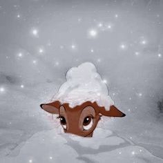 an animal with big eyes standing in the snow