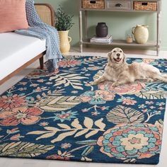 a dog laying on top of a blue rug