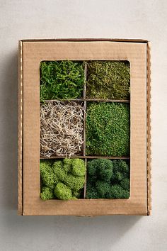 a cardboard box filled with different types of moss