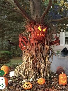 pumpkins are carved into the trunk of a tree