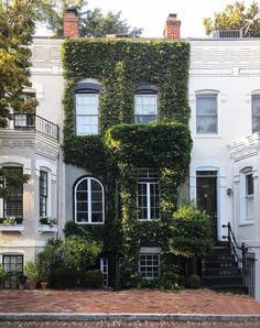 a house covered in vines and plants on the side of a street with stairs leading up to it