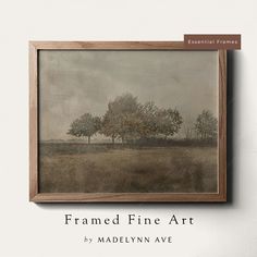 framed fine art by madelynn ave is featured on the cover of this book