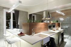 a kitchen with a sink, stove and counter top next to a large potted plant