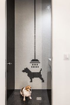 a small dog sitting on the floor in front of a tiled shower stall with a black and white design