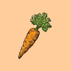 a drawing of a carrot with green leaves on it's top and bottom half