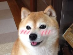 a dog with a pink marker on it's face sitting next to a door