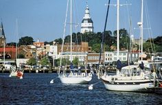 several sailboats are docked in the water near some buildings and spires on a hill