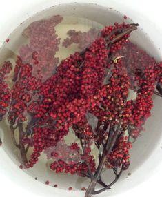 some red berries are in a white bowl