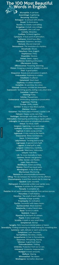 an image of a blue poster with words on it that are all in different languages