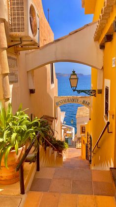 an archway leading to the ocean with potted plants on either side