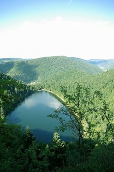 a large lake surrounded by lush green trees